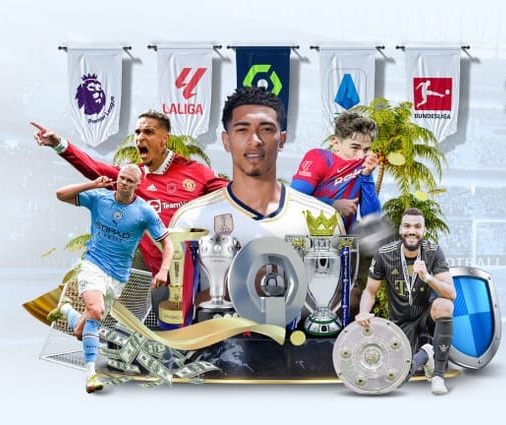 ledong网页版入口